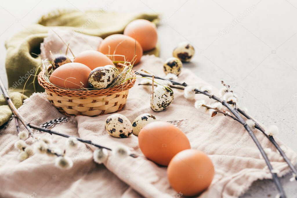Eggs and quail eggs for Easter and blooming pussy willow branches on wooden background