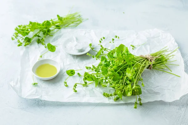 冬季青菜 印度生菜 健康的绿色蔬菜 生沙拉和烹调橄榄油和盐 紫丁香属植物 — 图库照片