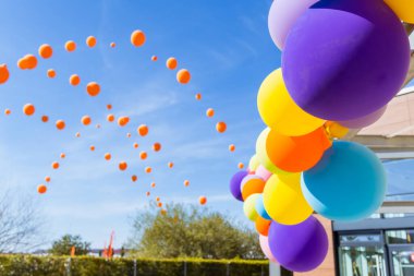 Outdoor decoration with colorful  balloons in garden
