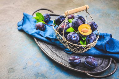 Sepette taze toplanmış erik (Zwetschgen) meyveleri
