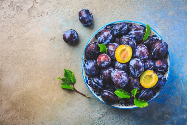 Freshly Picked Prune Plums Zwetschgen Fruits Bowl — Zdjęcie stockowe