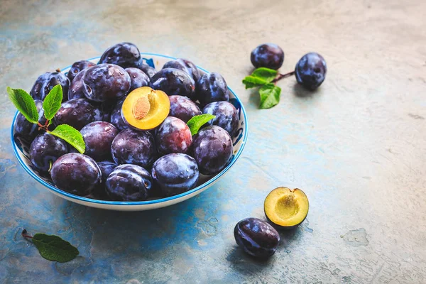 Freshly Picked Prune Plums Zwetschgen Fruits Bowl — Fotografia de Stock