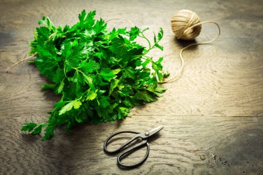 Bunch of fresh parsley with scissors and jute twine on wooden background.