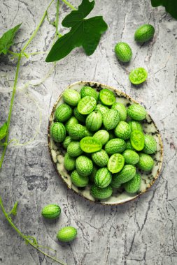 Cucamelon (Melothria scabra) - Mexican sour cucumber, pepquinos. Edible vegetables with high level of potassium and Vitamin C