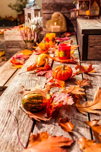 Beautiful Autumn Decoration Pumpkins Lantern Leaves Patio Terrace — Stockfoto