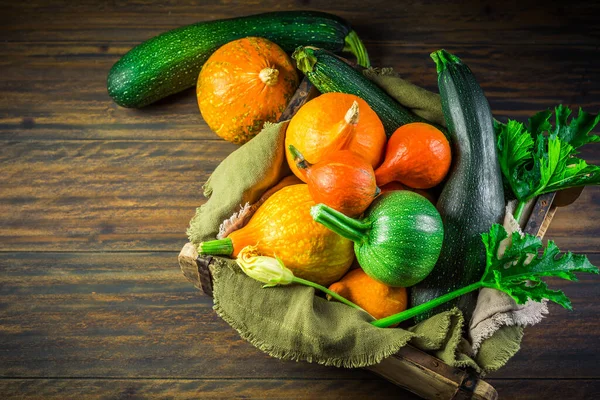 Harvesting Assortment Organic Pumpkins Courgettes Zucchinis Green Background — Fotografia de Stock