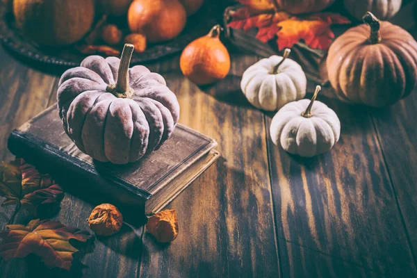 Bodegón Otoño Rústico Con Diferentes Calabazas Superficie Madera Estilo Vintage —  Fotos de Stock