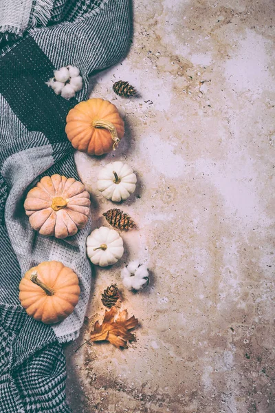 Happy Thanksgiving Konzept Herbstliche Komposition Mit Reifen Kürbissen Abgefallenen Blättern — Stockfoto