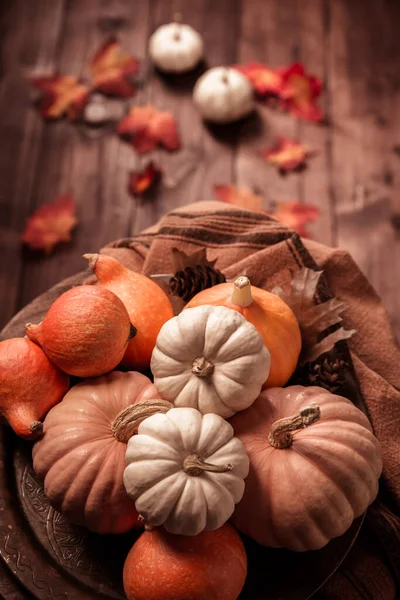 Natura Morta Autunnale Con Zucche Assortite Superficie Legno Stile Vintage — Foto Stock