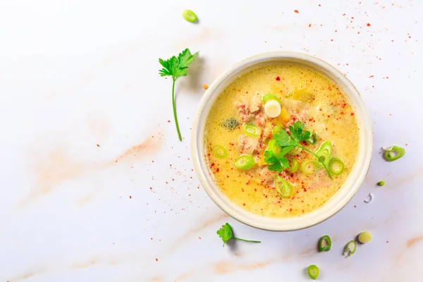 Deliciosa Sopa Caseira Alho Poró Com Carne Picada Pimenta Fundo — Fotografia de Stock