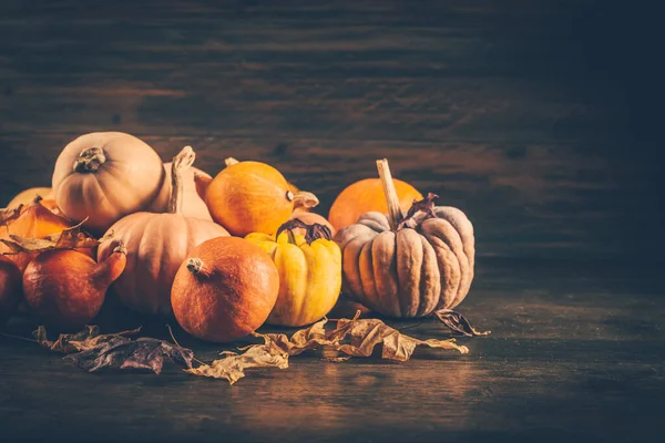 木製の背景に秋の葉を持つカボチャの盛り合わせ 感謝祭とハロウィンのコンセプト — ストック写真