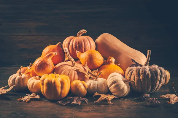 Sortiment Von Kürbissen Mit Herbstblättern Auf Hölzernem Hintergrund — Stockfoto