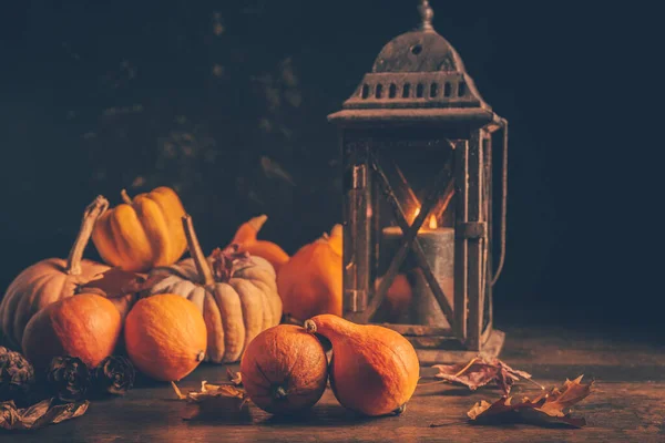 Assortiment Pompoenen Met Herfstbladeren Houten Ondergrond Thanksgiving Halloween Concept — Stockfoto