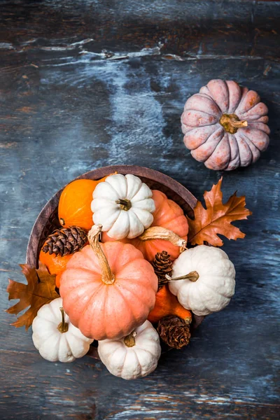 Thanksgiving Und Halloween Konzept Kürbisse Und Herbstblätter — Stockfoto