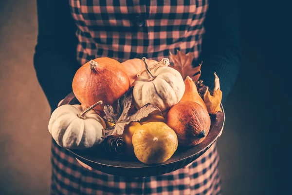 Hálaadás Halloween Koncepció Gazdaság Tál Díszített Sütőtök — Stock Fotó