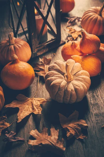 Thanksgiving Und Halloween Konzept Kürbisse Und Herbstblätter — Stockfoto