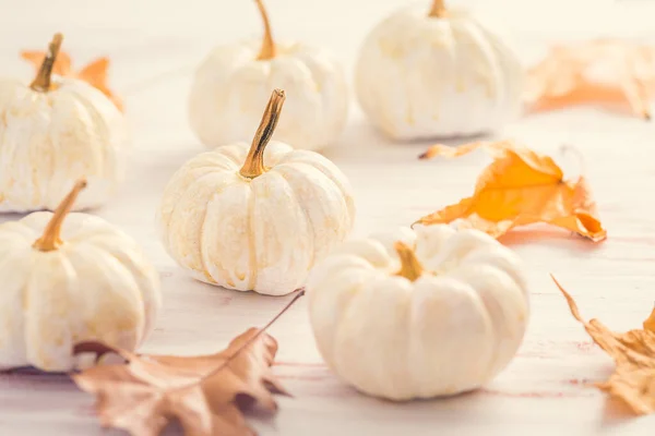 Calabazas Blancas Con Hojas Otoño Sobre Fondo Madera Estilo Vintage —  Fotos de Stock