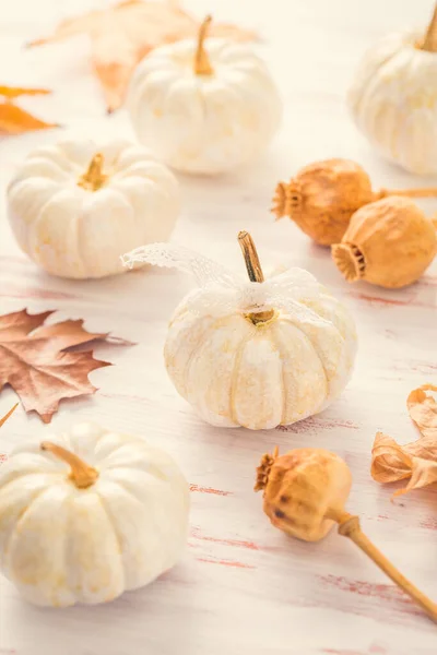 Weiße Kürbisse Mit Herbstblättern Auf Hölzernem Hintergrund Vintage Stil Thanksgiving — Stockfoto