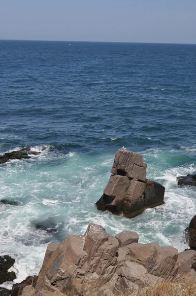 Rotsachtige kust — Stockfoto