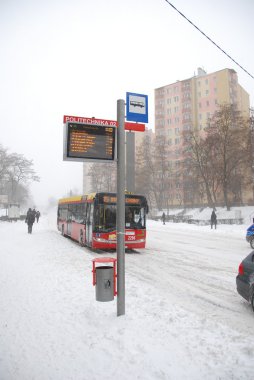 kış saldırısı, lublin, Polonya