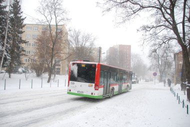 kış saldırısı, lublin, Polonya