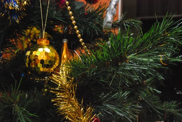 Na stromu christman — Stock fotografie