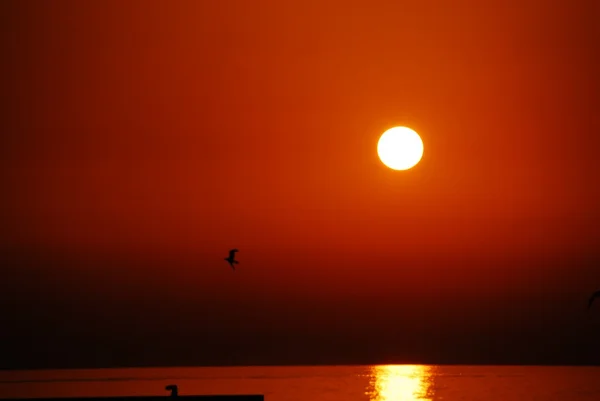 Goldener Sonnenuntergang — Stockfoto