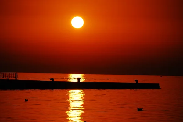 黄金の夕日 — ストック写真