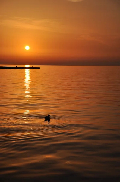 Sonnenuntergang im Hafen — Stockfoto