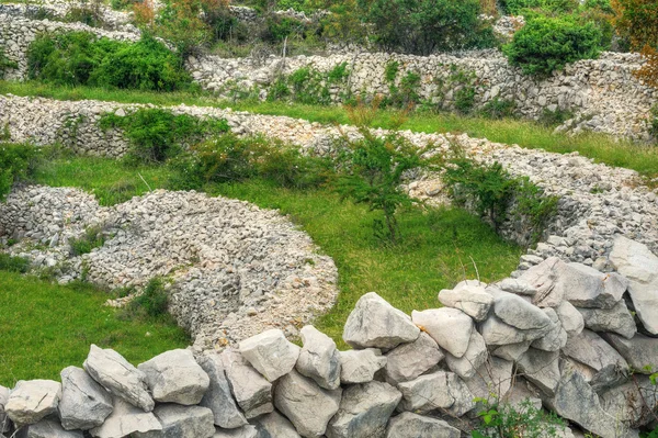 Pastos de ovejas, paredes de piedra seca, Rudine, isla de Krk, Croacia —  Fotos de Stock