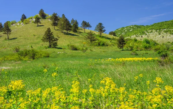 Mountain landscape in Lika , Croatia — Stock Photo, Image