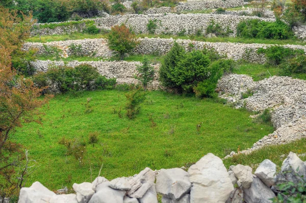 Овечье пастбище, стены из гипсокартона, Рудин, остров Крк, Хорватия — стоковое фото