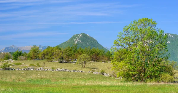 Montaña en Lika - Trovrh — Foto de Stock