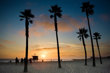 palmiye ağaçlarında günbatımı