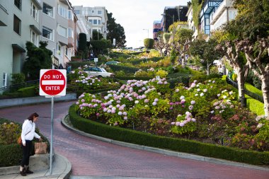 San Francisco 'daki Lombard Caddesi.