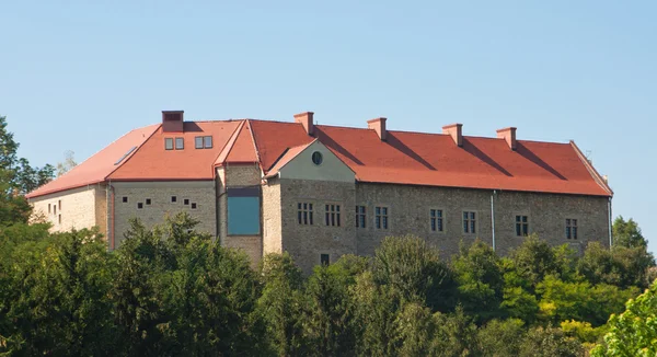 Burg. — Stockfoto