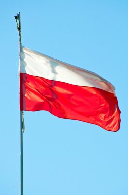 Polonya Bayrağı