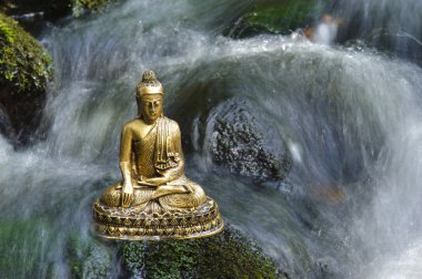 Buda.