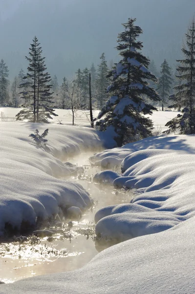 Creek w śniegu — Zdjęcie stockowe