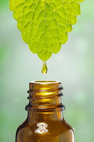Alternative herbal medicine — Stock Photo, Image
