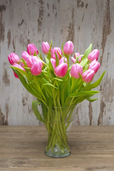 Куча тюльпанов — стоковое фото