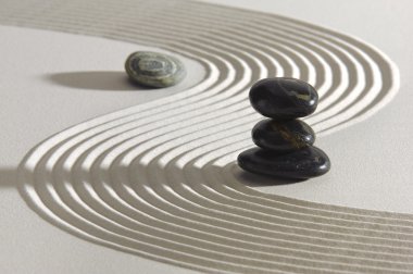 Japon Zen Bahçesi