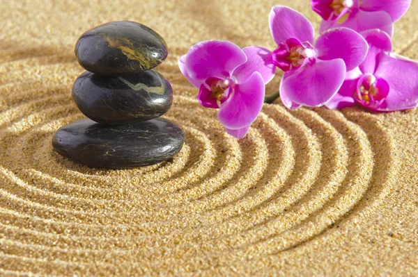 Japanese zen garden — Stock Photo, Image