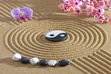 Japon Zen Bahçesi