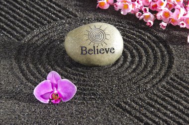 Zen Bahçesi Japonya