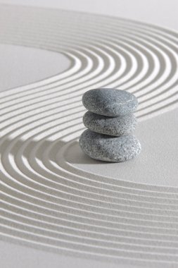 Japon Zen Bahçesi