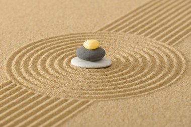 Japon Zen Bahçesi