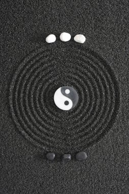 Japon Zen Bahçesi