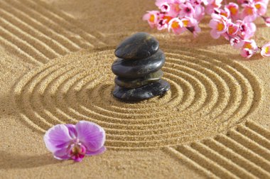 Japon Zen Bahçesi
