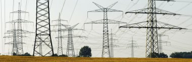 Grup elektrik direkleri